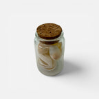 Coastal Serenity Collection