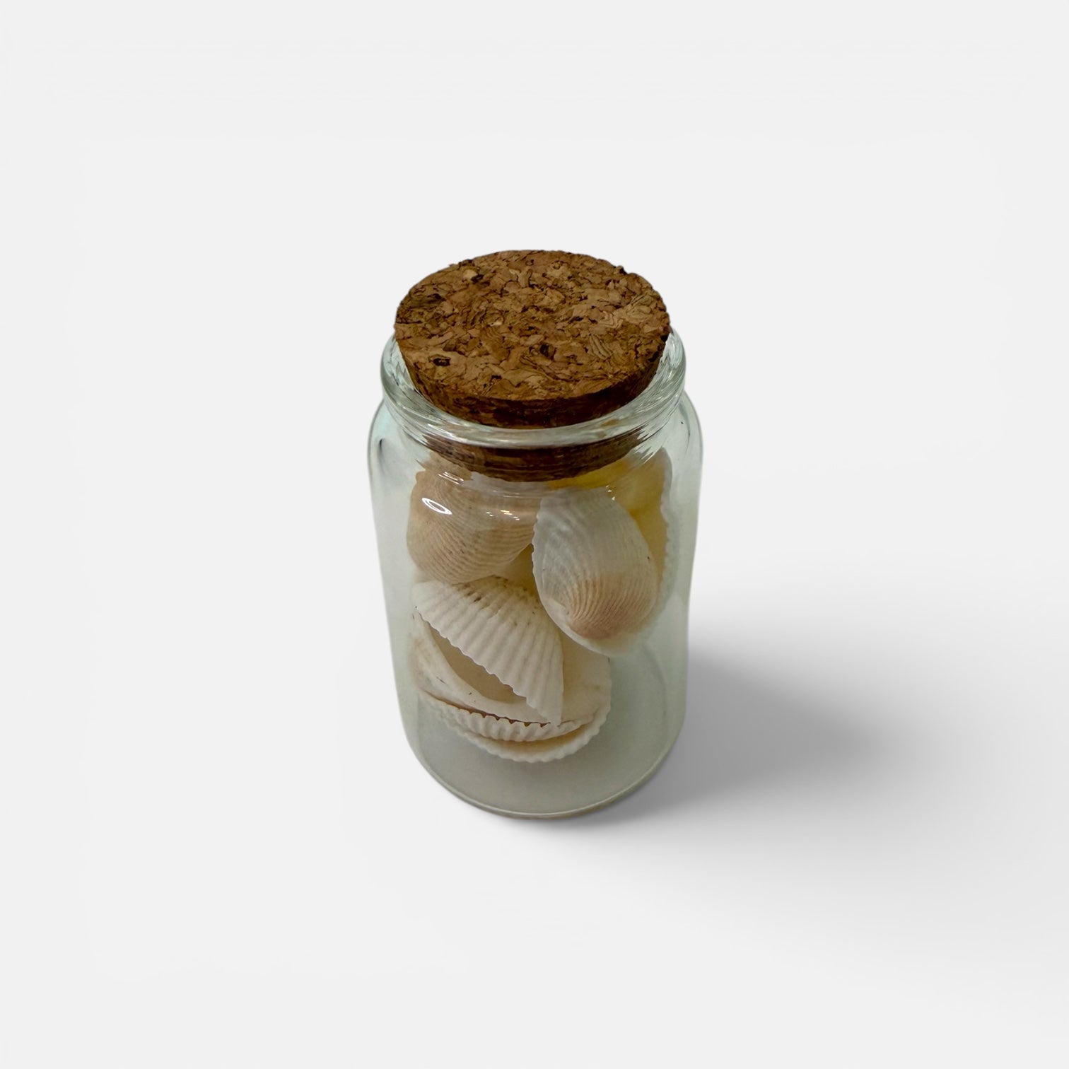 Coastal Serenity Collection